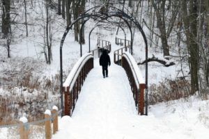 25 Things to Do Outdoors During Winter in York Region