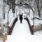 25 Things to Do Outdoors During Winter in York Region