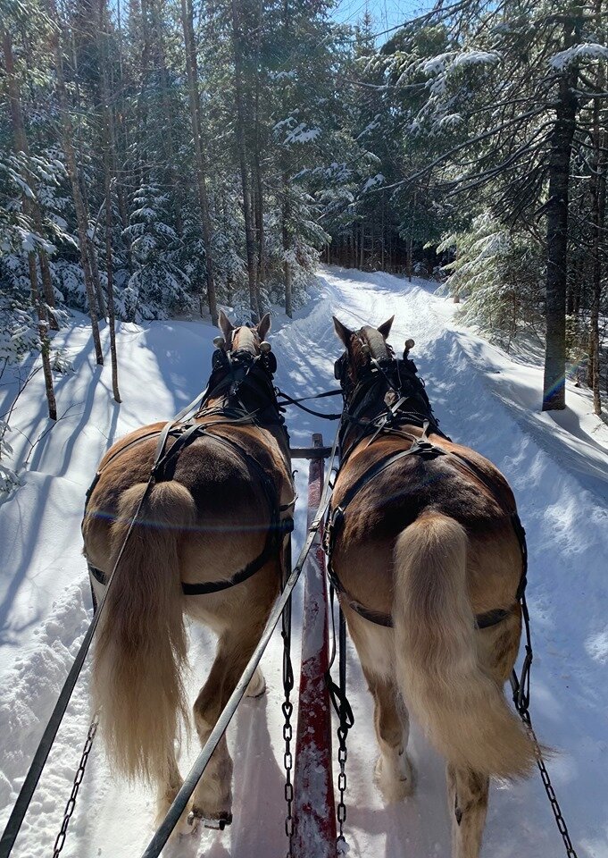 Places to Go For Winter Trail Rides and Sleigh Rides in New Brunswick