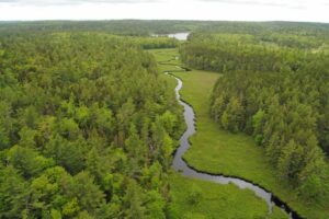Nova Scotia Opens Parks, Garden Centres and Eases Some Public Health Restrictions From May 1