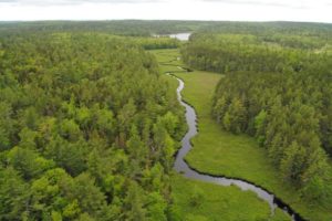 Nova Scotia Opens Parks, Garden Centres and Eases Some Public Health Restrictions From May 1