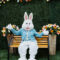 Eggcited for Easter - Meet The Easter Bunny