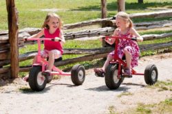 Clovermead Adventure Farm &amp; Pumpkin Festival