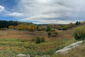 Fall Season Adventures and Activities in Cochrane - Scenic Trails and Mountain Views