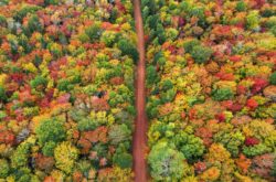 25 Fall Activities and Getaways on Prince Edward Island