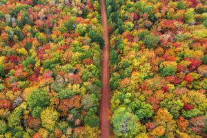 25 Fall Activities and Getaways on Prince Edward Island