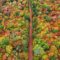 25 Fall Activities and Getaways on Prince Edward Island
