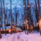 Winterlit 2025-26: Explore Enchanting Illuminated Woods Near Toronto This Winter