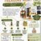 Mindfulness Treasure Hunt