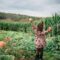 Corn Mazes and Pumpkin Patches near Halifax