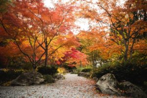 25 Fall Getaways in British Columbia
