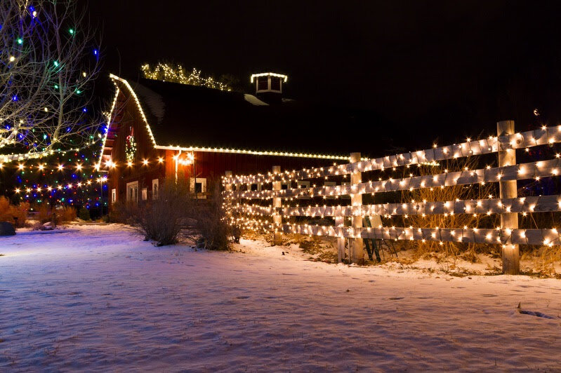 Glen Avenue Christmas Garden 2022 Places To See Christmas / Holiday Light Displays In Toronto & Gta