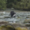 Top Vancouver Island Towns and Cities For a Summer Getaway