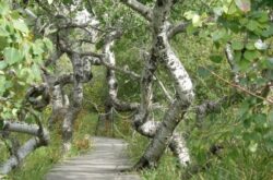 50 Things to Do During Summer in Central Saskatchewan