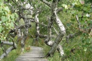 50 Things to Do during Summer in Central Saskatchewan