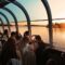 Things to Do This Thanksgiving Weekend in Kingston