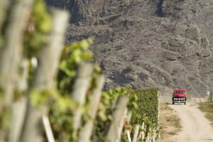 A Culinary Tour through Canada’s Desert
