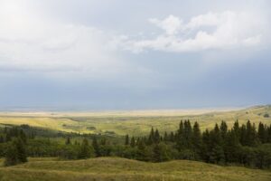 Cypress Hills Interprovincial Park
