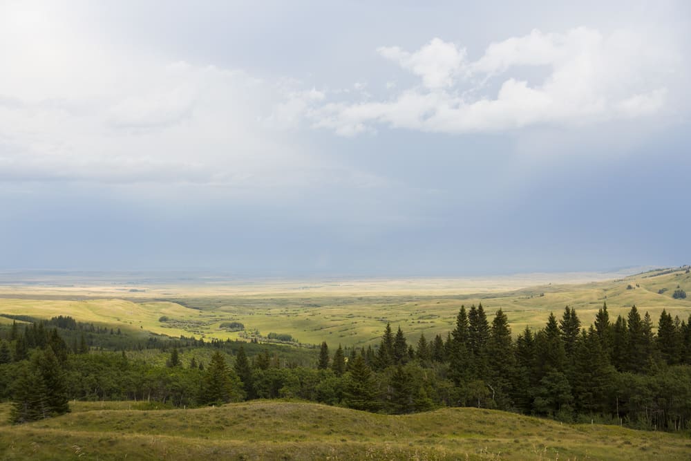 Things to Do at Cypress Hills Interprovincial Park