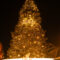 DIOR Christmas tree - golden light
