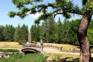 25 Date Ideas in Parkland County