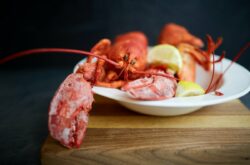 25+ Things to Do in April in and Around Charlottetown - 2026