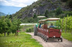 Things to Do this Labour Day Weekend in Kelowna
