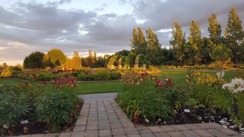 Beausejour Daylily Gardens