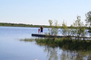 Explore Dillberry Lake Provincial Park: A Peaceful Prairie Escape on the Alberta–Saskatchewan Border