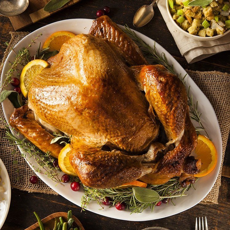 Scholastic thanksgiving webquest