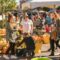 25+ Things to Do This October on Prince Edward Island