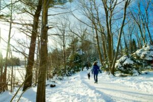 Things to Do this Winter in Halifax: 2026 Festivals and Outdoor Fun