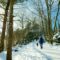 Things to Do this Winter in Halifax: 2026 Festivals and Outdoor Fun