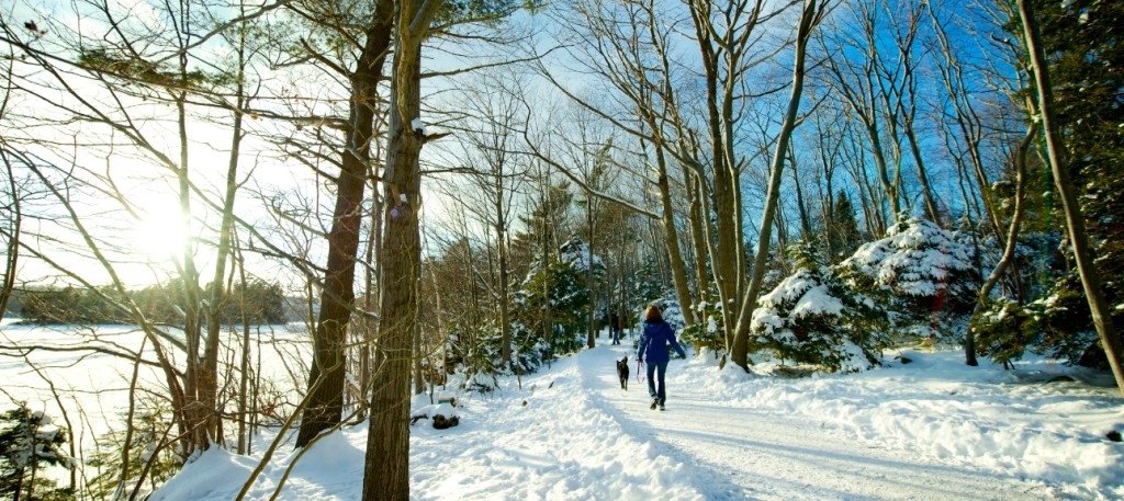 Things to Do this Winter in Halifax