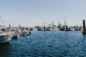 Discover Port McNeill: Gateway to Breathtaking Northern Vancouver Island Adventures