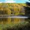 Discover the Best of Spruce Grove: Parks, Mazes, Ranches & Relaxing Hikes