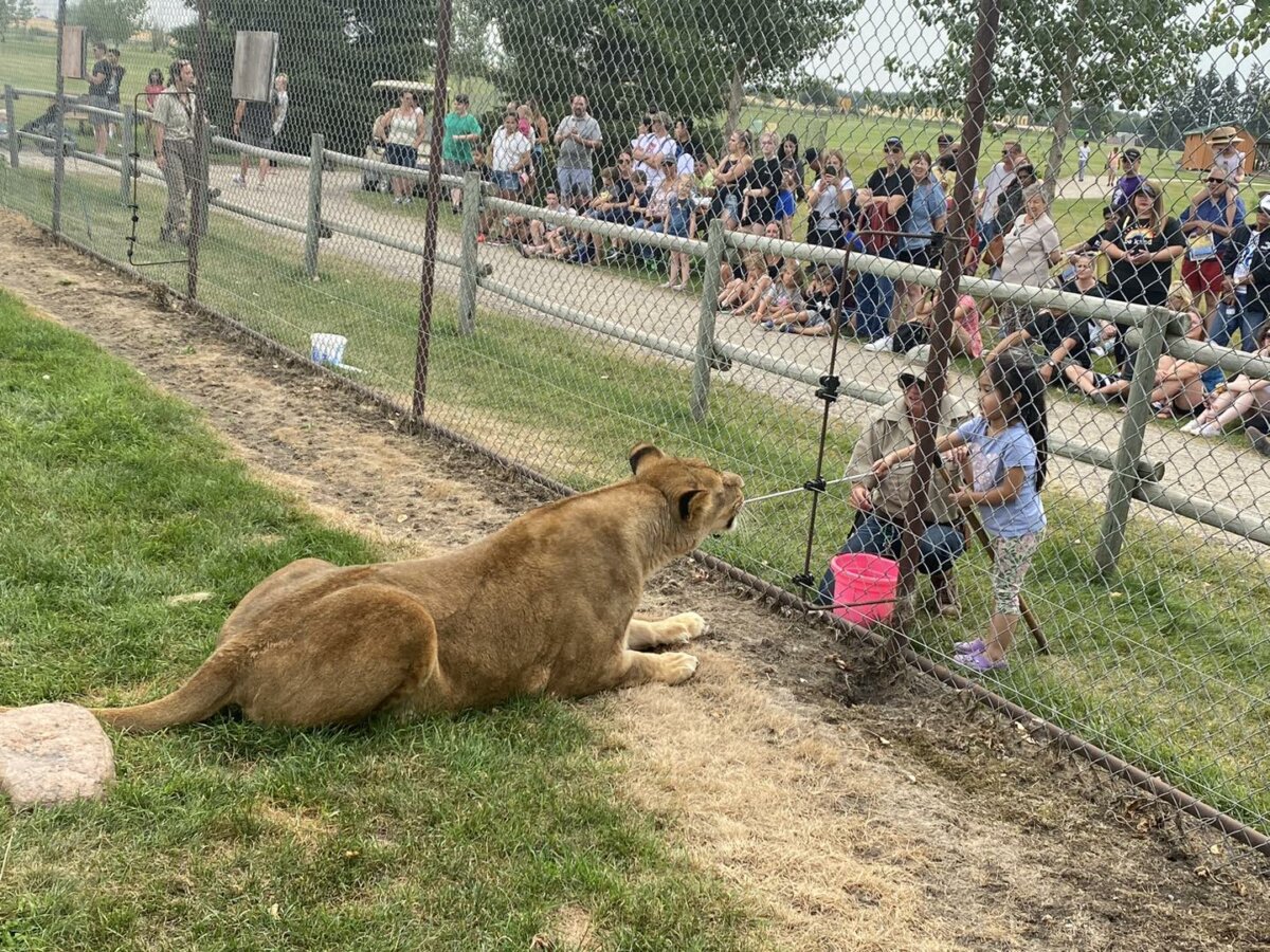 Discovery Wildlife Stay Overnight or Explore This Wildlife Sanctuary