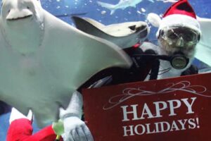 Dive Shows at Ripley's Aquarium