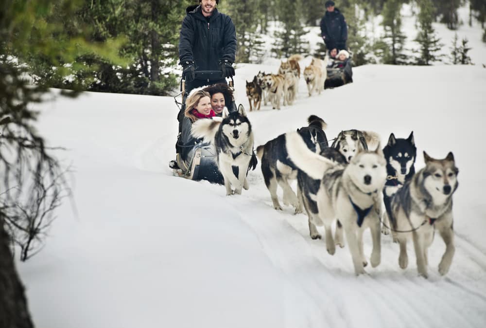 25 Provincial Parks to Visit in Alberta during Winter