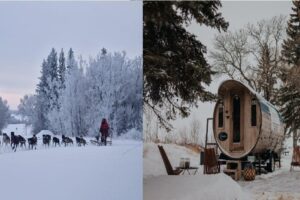 This Winter Experience in Saskatchewan Pairs Dogsledding With Nordik Sauna