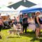Dorchester Pet Fest