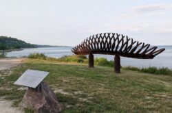 100+ FREE Things to Do this Summer in Toronto