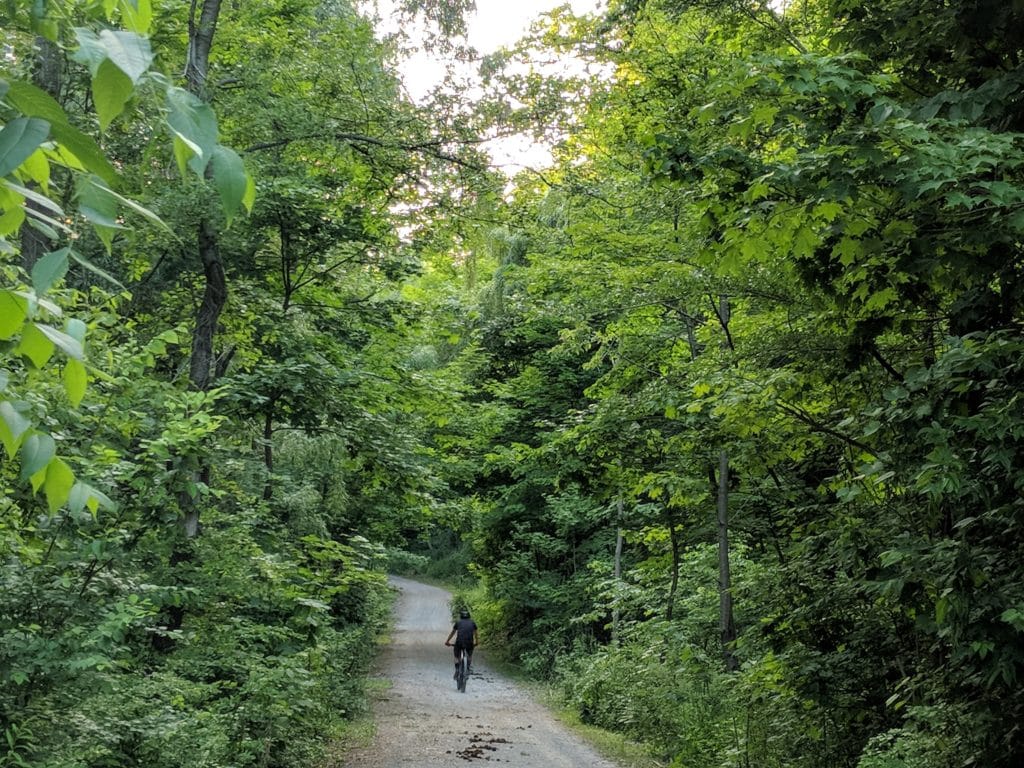 Doris McCarthy Trail/Gates Gully