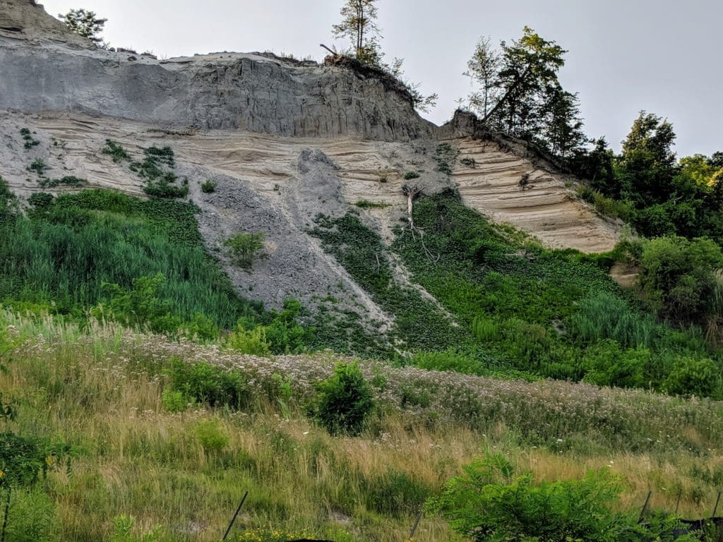 Doris McCarthy Scarborough Bluffs