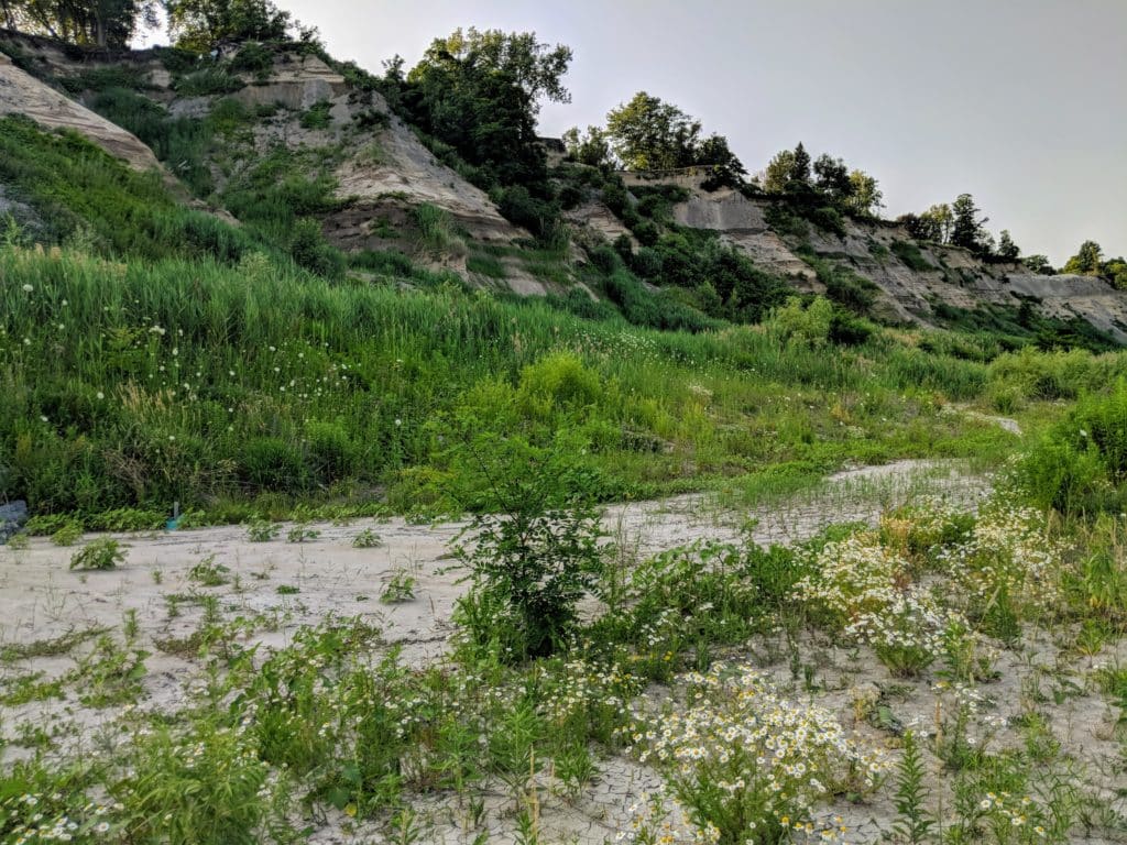 Doris McCarthy Trail Bluffs