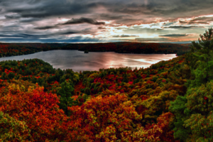 Dorset Lookout Tower: Climb to the Top of This Scenic Lookout in Ontario For Spectacular Summer and Fall Colour Views