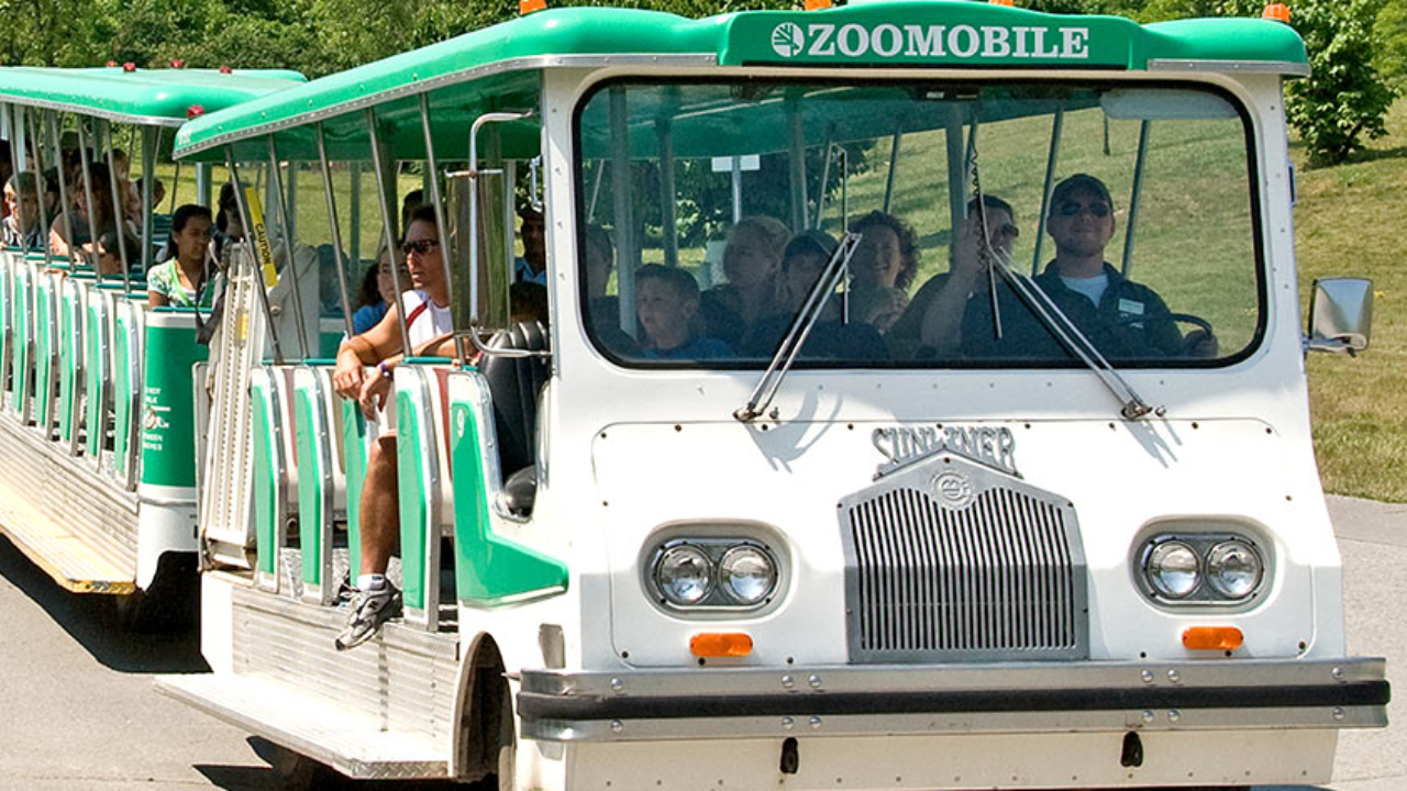 Toronto Zoo Will Reopen As A Drive Thru Soon To Do Canada