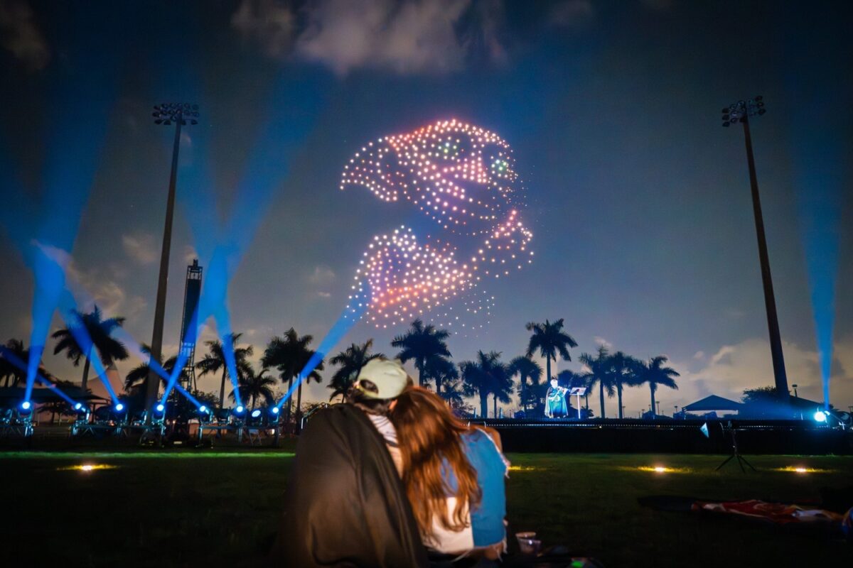 DroneArt Show: Harry Potter™