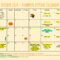 Dyment's Pumpkin Patchcalendar