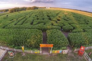 Things to Do With Kids in and around Edmonton